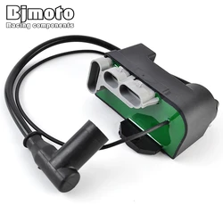 Motorcycle Ignition Coil Assy For Ski-Doo Tundra II LT R Freestyle 300F Session Skandic 300 F 415098300 515175459 512060006