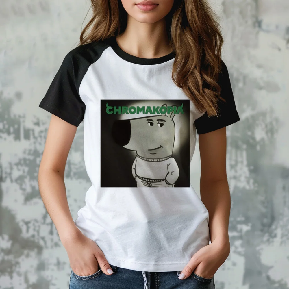 Chill Guy tshirt vrouwelijke hiphop kawaii Pastel Ademend shirt Grafisch kawaii Digital Classic University