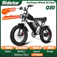 Ridstar Q20 Ebike 1000W 48V 20Ah Removable Battery 20*4.0\