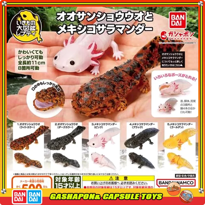 

BANDAI Biological Encyclopedia Action Figures Model Japanese Giant Salamander Gashapon Official Genuine Collect