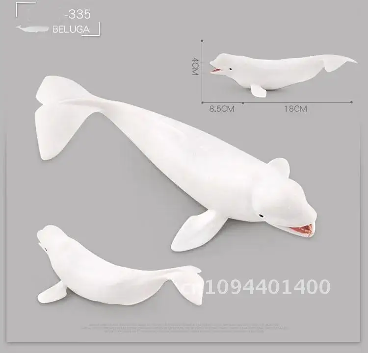 Jouet de simulation d'animaux marins pour enfants, grand requin, baleine, figurine, béluga, mégalodon dos, modèle