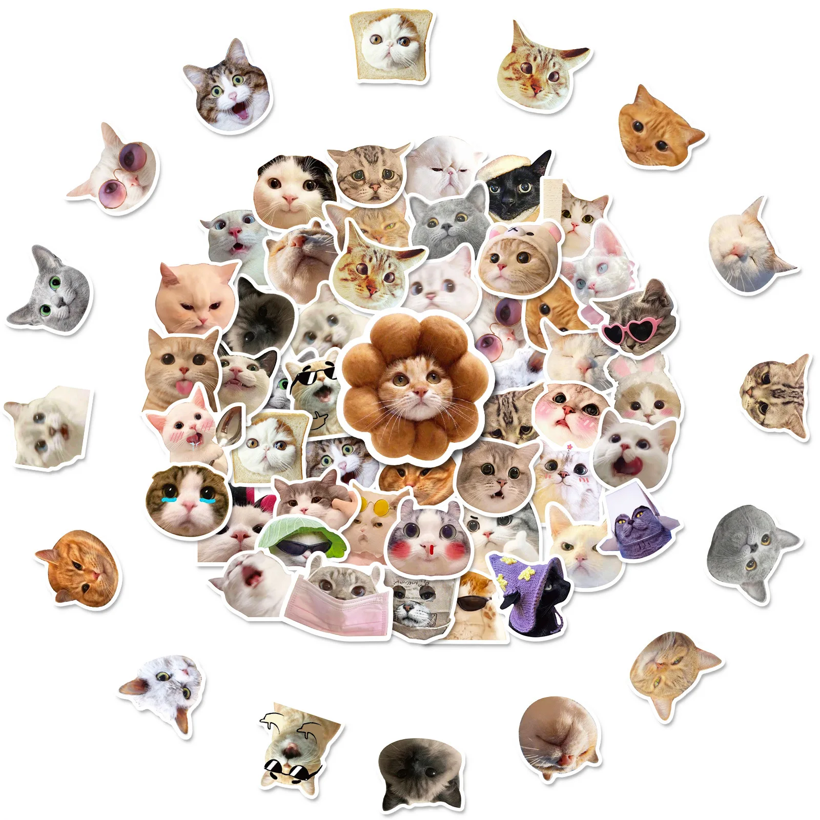 50PCS Cute Cat MEME Cartoon Animals Graffiti Stickers DIY Phone Guitar Laptop Notebook Suitcase Cup Waterproof Sticker Kids Toy