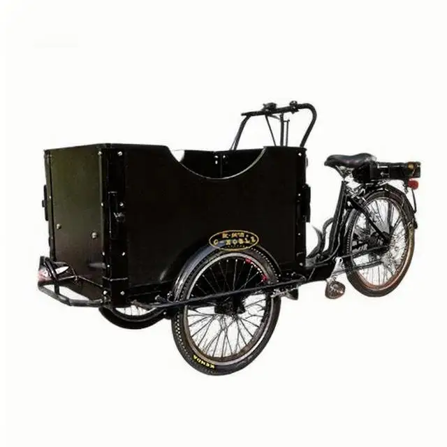 

Popular cargo bike 350w electric 3 wheel tricycle for carry children