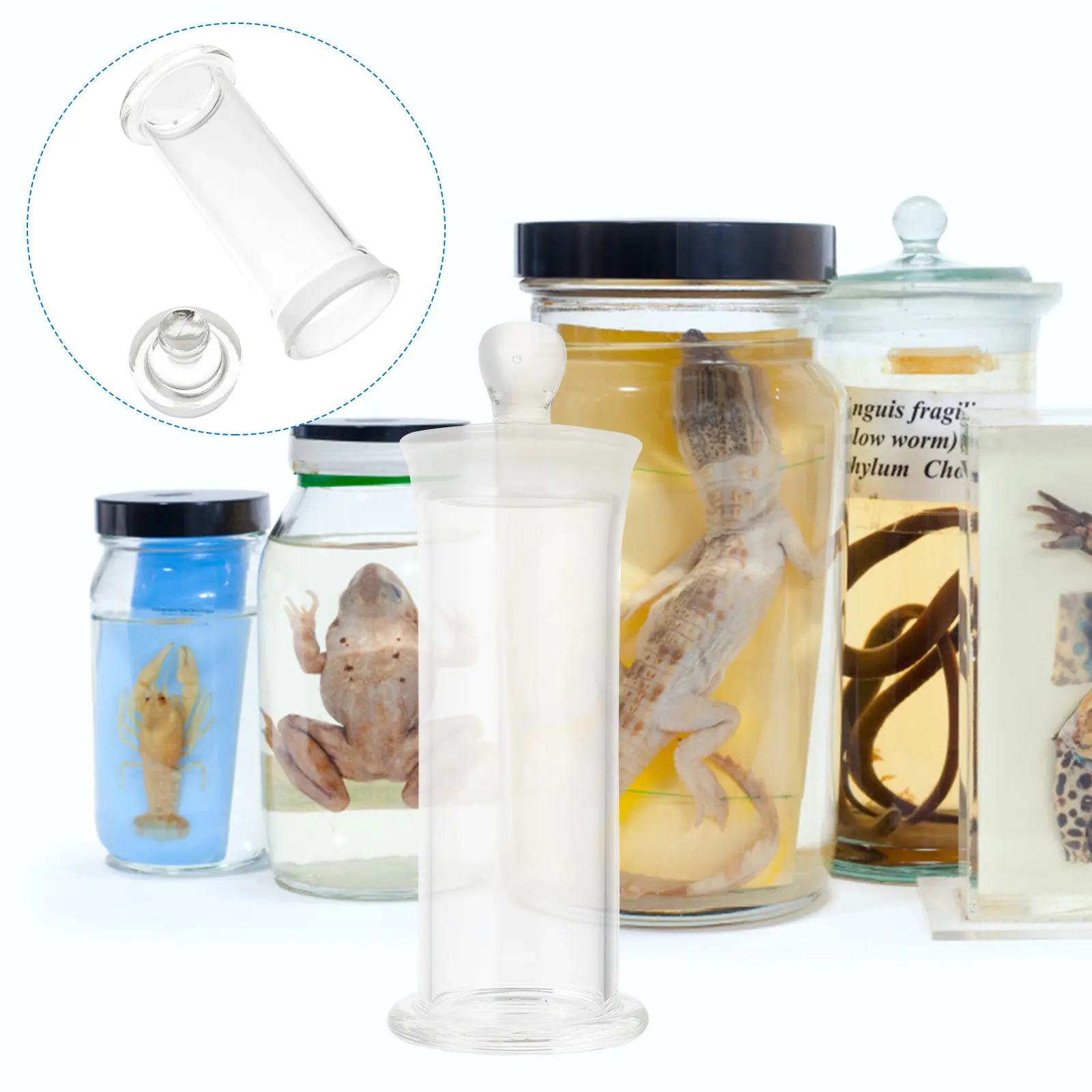 Thickened High Borosilicate Glass Specimen Container Seal Lid Lab Reagent Bottle for Experimental Use Chemical