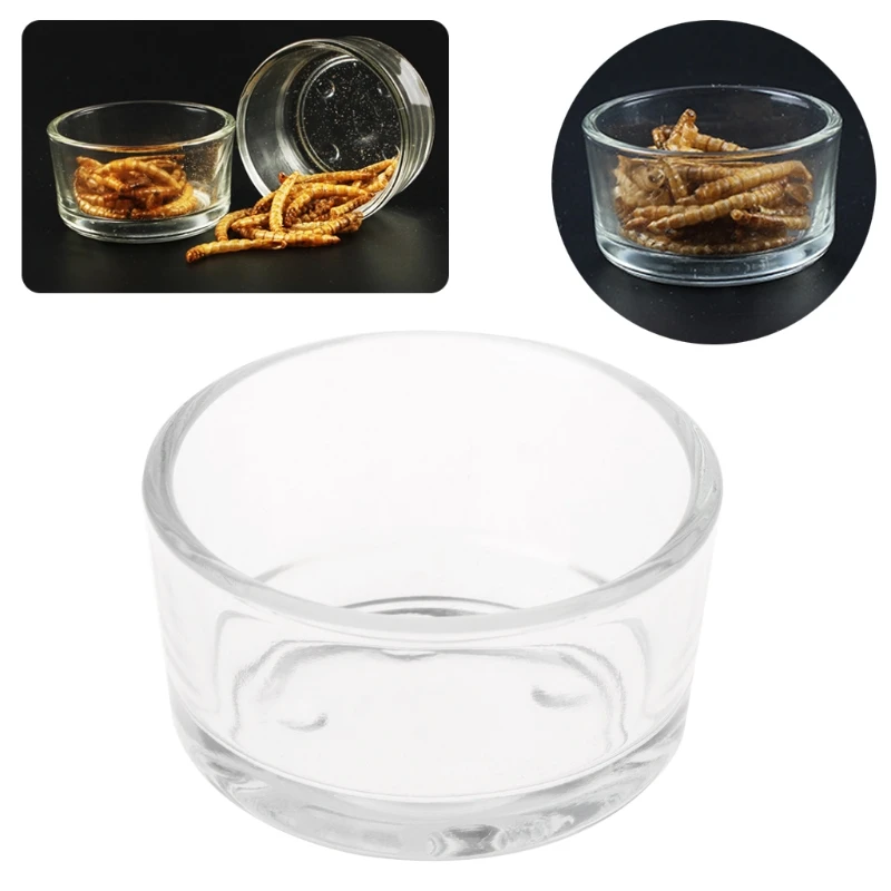 Reptiles  Water Bowl Anti-Escape Worm Dish Reptiles Clear Glass Feeding Dish