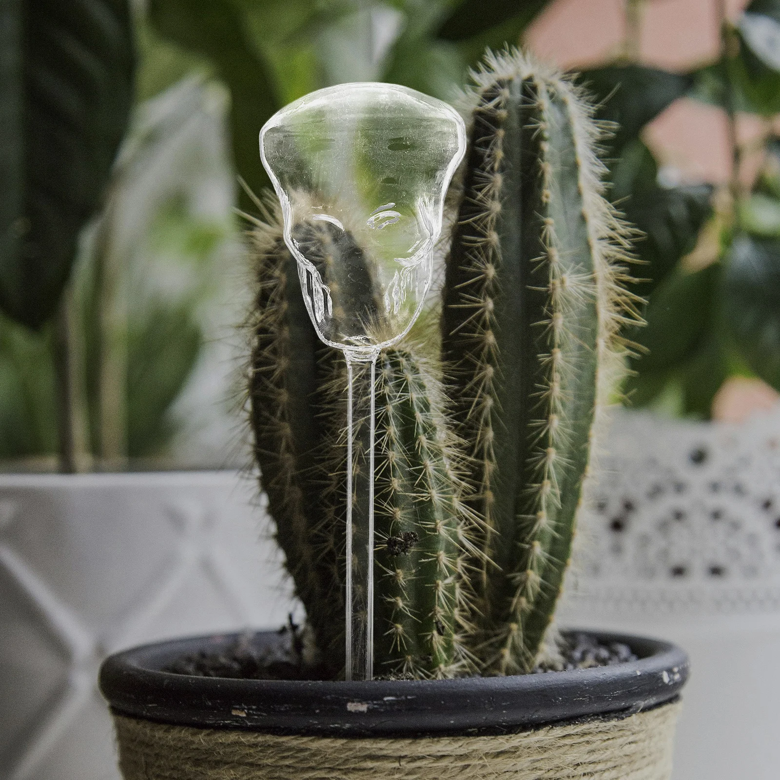

Glass Automatic Watering Spike for Plants Self Refilling Skull Design Decorative Planter Accessory for Home Garden Use