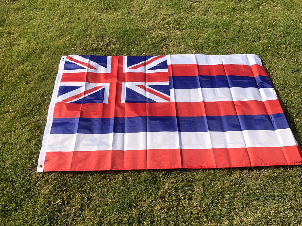 SKY Bandera hawaiana de poliéster para colgar, banderín país - imagen 5