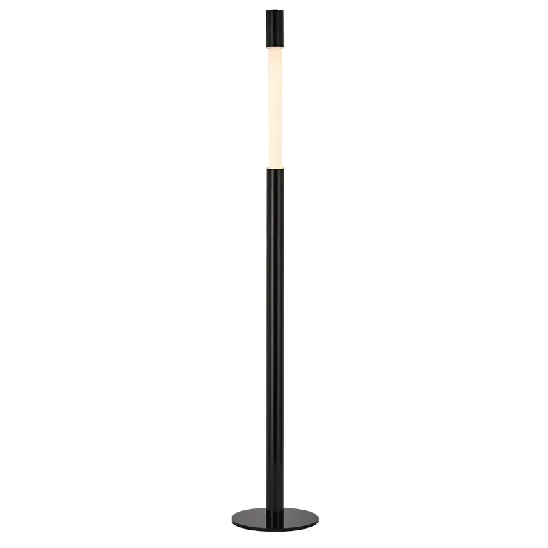 Lifting touch floor lamp Modern simple floor lamp next to the high-value sofa in the living room