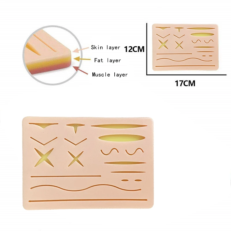 Suture Practice Kit Models Medical Student Training And Education Human Anatomy Nurse School Science And Education Anatomy Model