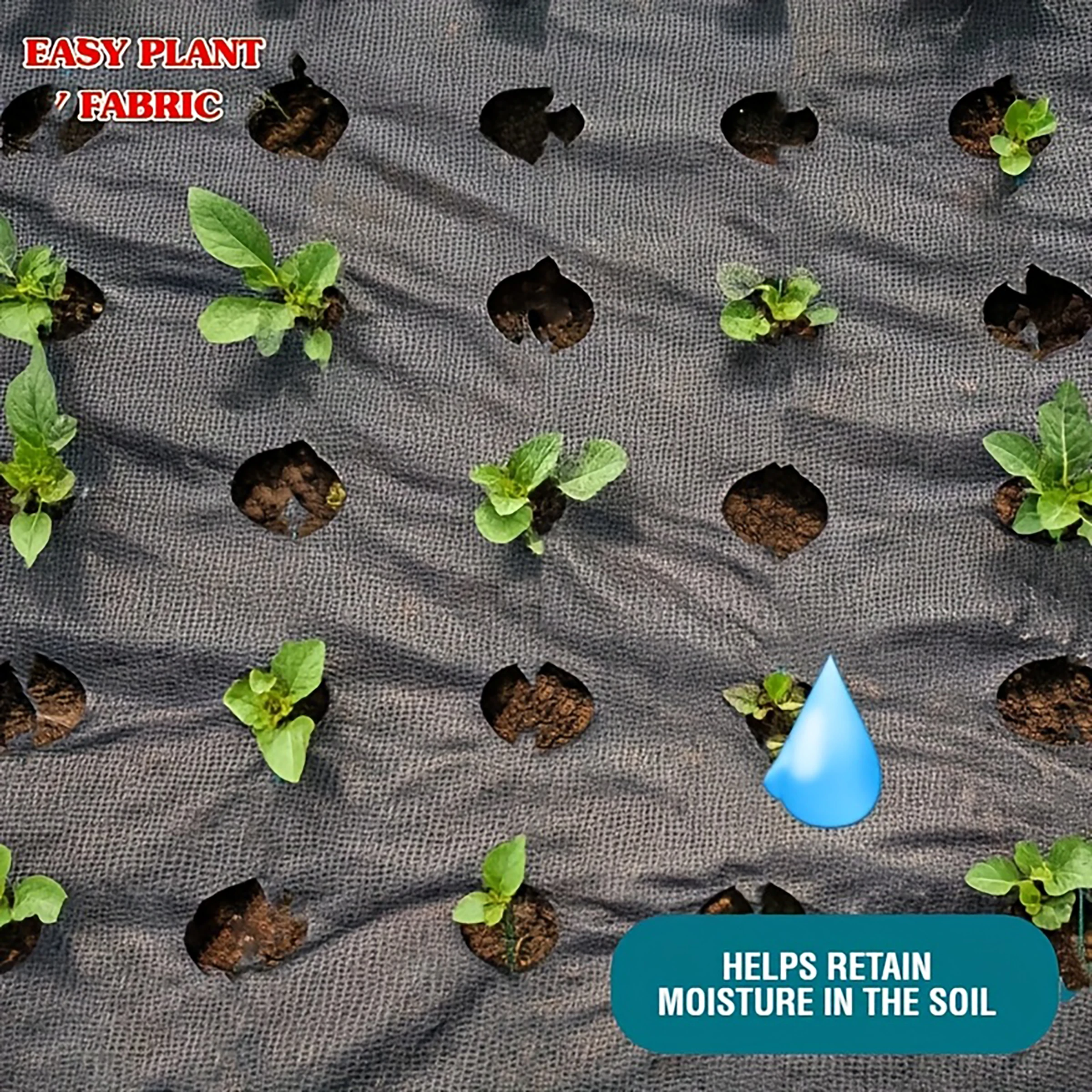 Black Weed Control Cloth with Planting Holes, Suitable for Garden and Yard Use, Vegetable and Fruit Planting, and Weed Control