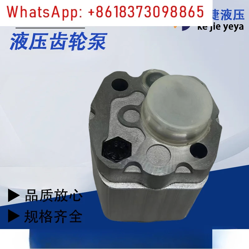Pompa dell'olio idraulico RGP-F113 RGP-F118 Pompa a ingranaggi idraulica RGP-F106/F116/F180/F121