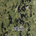 AOR2
