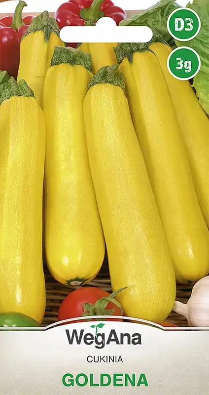 Goldena's Zucchini (Pumpkin) 3G VegAna vegetable seeds