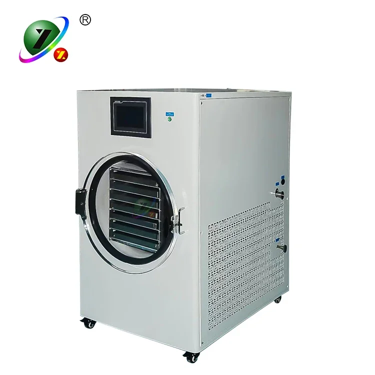 HFD-6 0.6 square meter small lyophilizer vacuum home  Dryer Dried Home use With Vacuum Pump for fruit and food