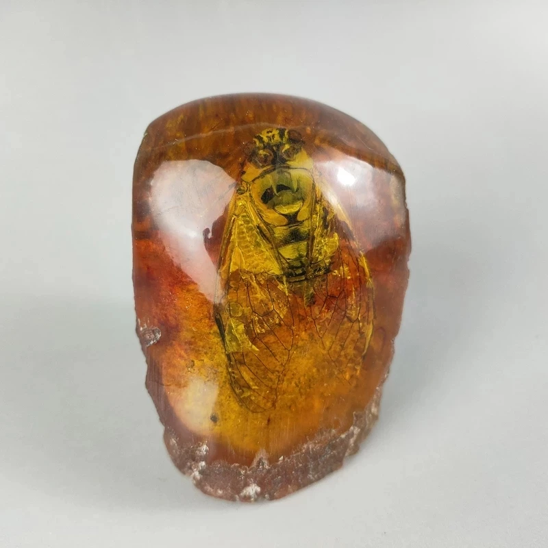 

Elaborate Interesting Rare Chinese Collection Home Decoration Gift Amber Resin Cicada Statue Craft