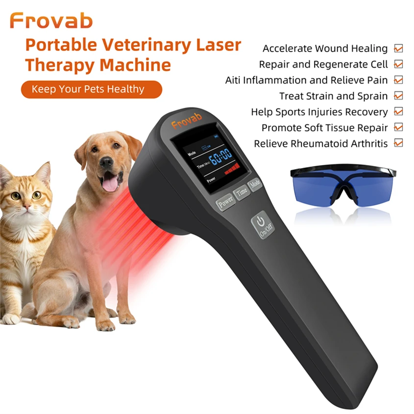 

20 Diodes Cold Laser Therapy 16x650nm 4x808nm Physiotherapy Device Class 3b Therapy Laser Beam for Pain Back Massager Dog Horses