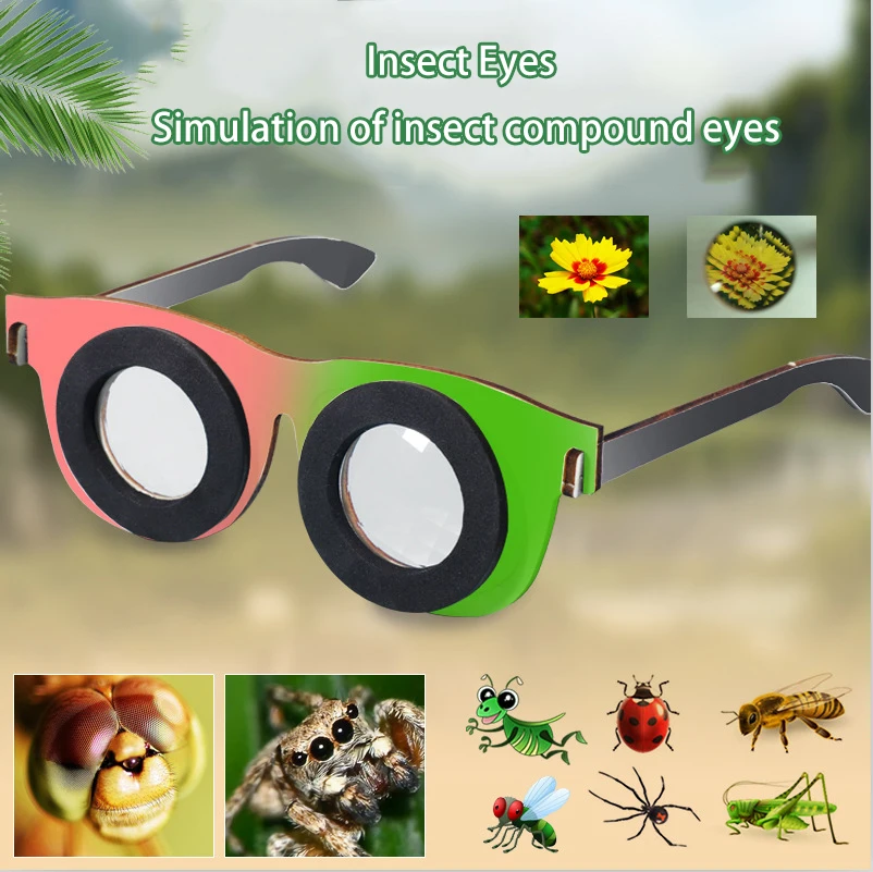 

Students Science Experiments Polygonal Mirror Compound Eye Technology Mini Production Materials Set Children DIY Insect Eyes