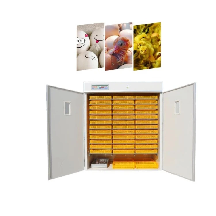 2025년 고품질 이중 전원 공급 롤러 계란 부화기 자동 부화기 판매