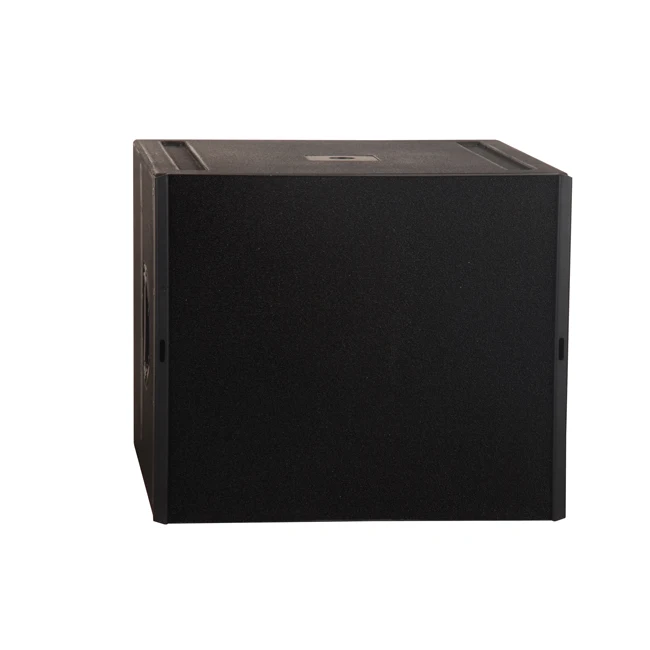 

Big Power 18" Subwoofer Bass Speaker For Line Array And Stage Dual 10 Inch Line Array Professional Audio Video