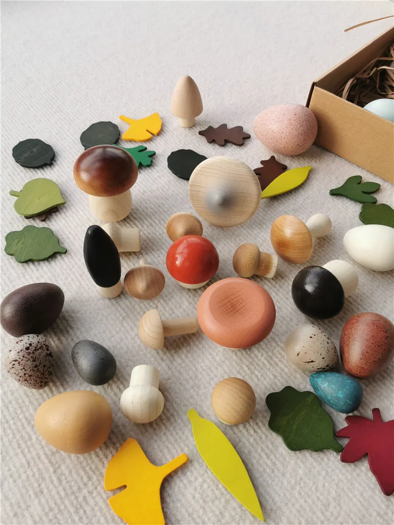 Kids Wooden Montessori Toys Colorful Mushroom Birds Eggs Shelvs Educational Play