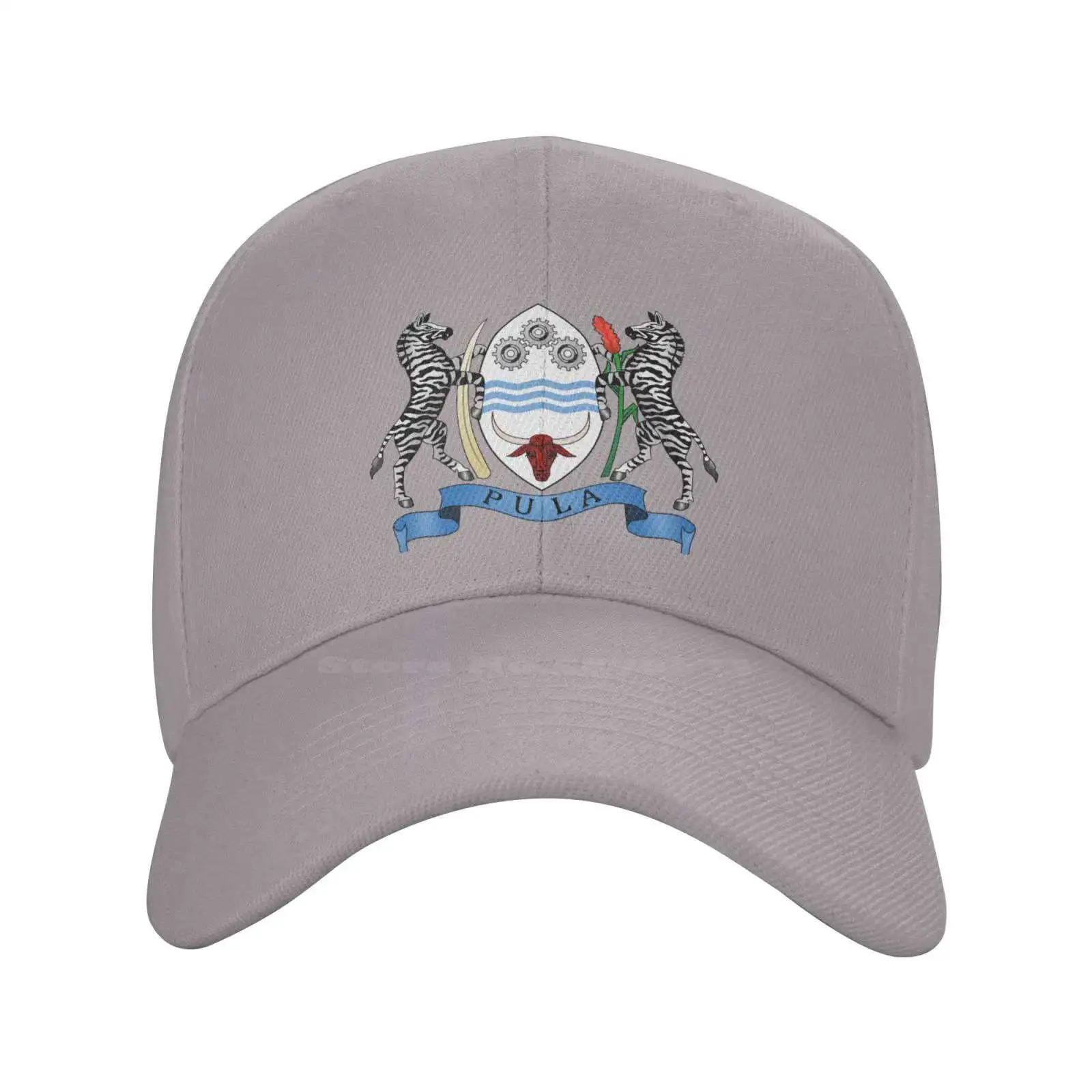 Botswana Top Quality Logo Denim cap Baseball cap Knitted hat