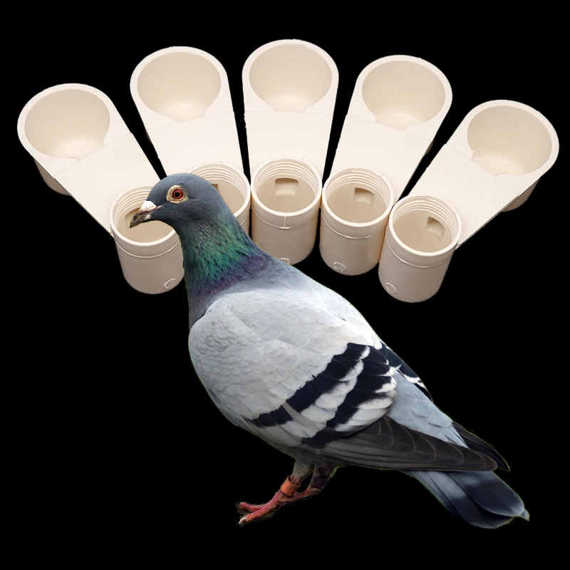 5/10/20Pcs Bird Feeder Water Bottle Drinker Cup for Pigeon Bird Accessories кормушка для перепелов bebedero aves