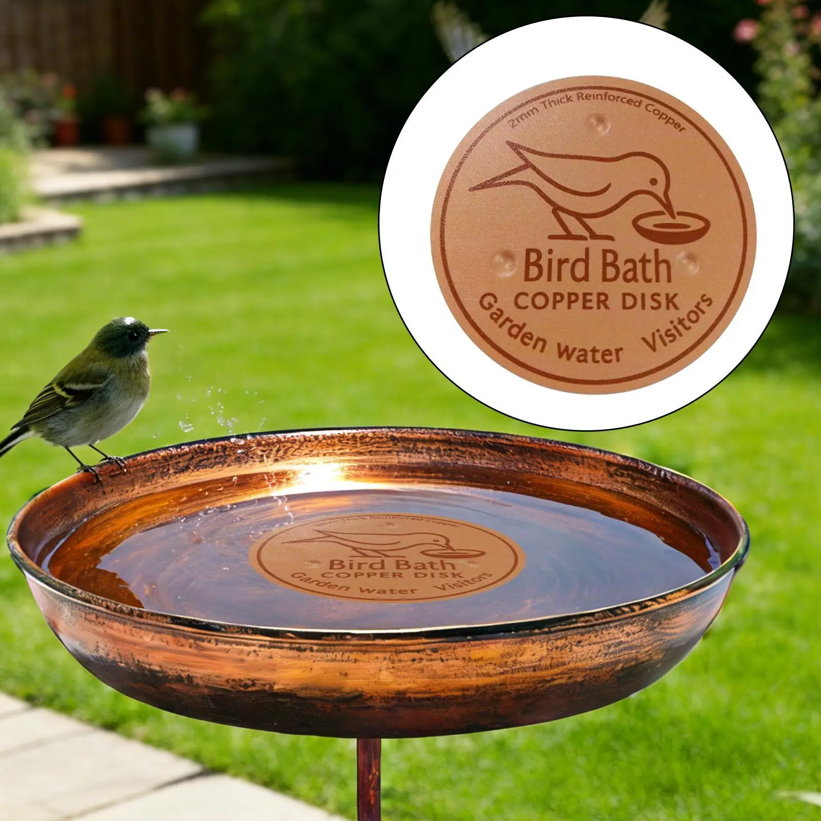 Bird Bath Copper Birdbath Purifier with Triple-Point Support Bath Disk Ornaments Feeder Accessories for Outdoor Bird Baths Bowls