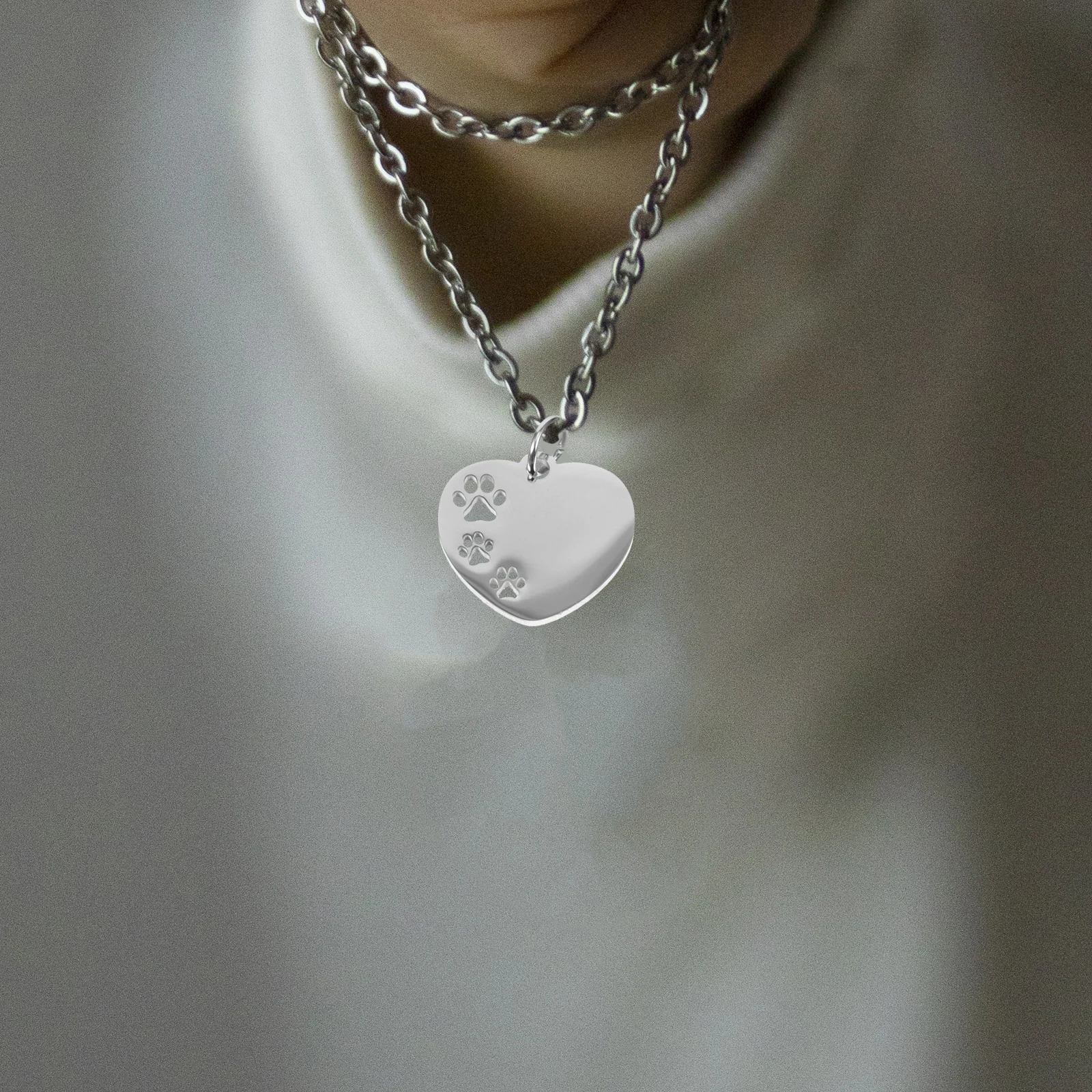 

10 Pcs Pet Dog Tag Name Id Tags Necklace Blank for Engraving Identity Stainless Steel Pets Collar