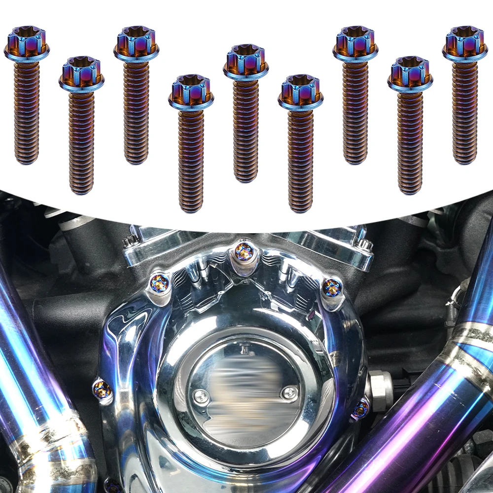 

For Harley FLHR FLHX FLTRX 17-22 Street Glide Special 18-23 Road King Special Ultra Limited FLHTK 17-24 Cam Cover Screw Bolts