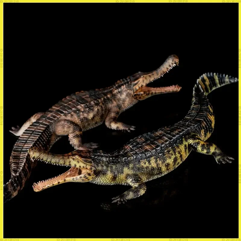 

Haolonggood Tong Meng Sarcosuchus Imperator 1/35 Early Cretaceous Ancient Crocodile Extinct Animal Figurine Model Collection
