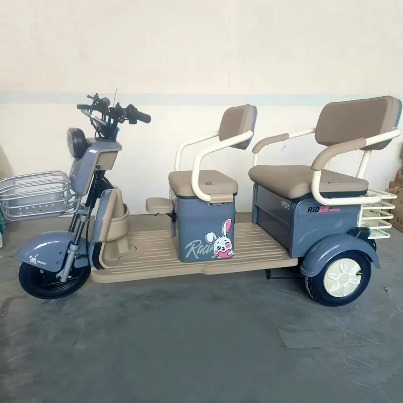 ترقية الساخن بيع 650 واط/800 واط الكهربائية الصلب المفتوحة الجسم 3-عجلات الركاب دراجة ثلاثية العجلات #2