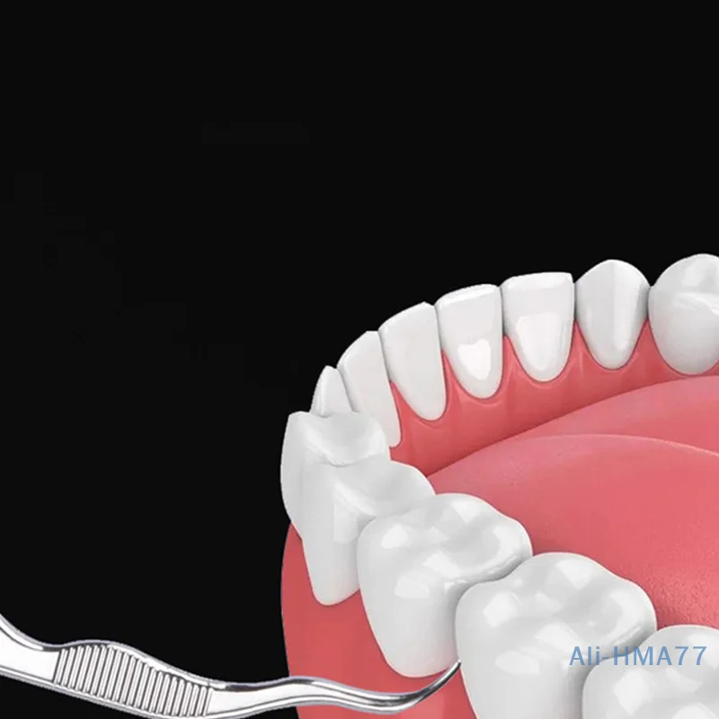 Palito de dente portátil de aço inoxidável, garfo de frutas, extrator de dente doméstico, caixa de recipiente de armazenamento selado para viagem ao ar livre