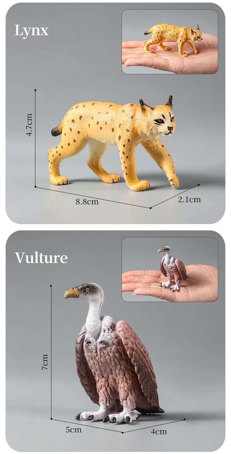 Montessori Wildtiere Modell Spielzeug Set – Löwe Elefant Antilope Actionfiguren Miniatur Zoo Figuren Pädagogisches Geschenk für Kinder – Detail 14