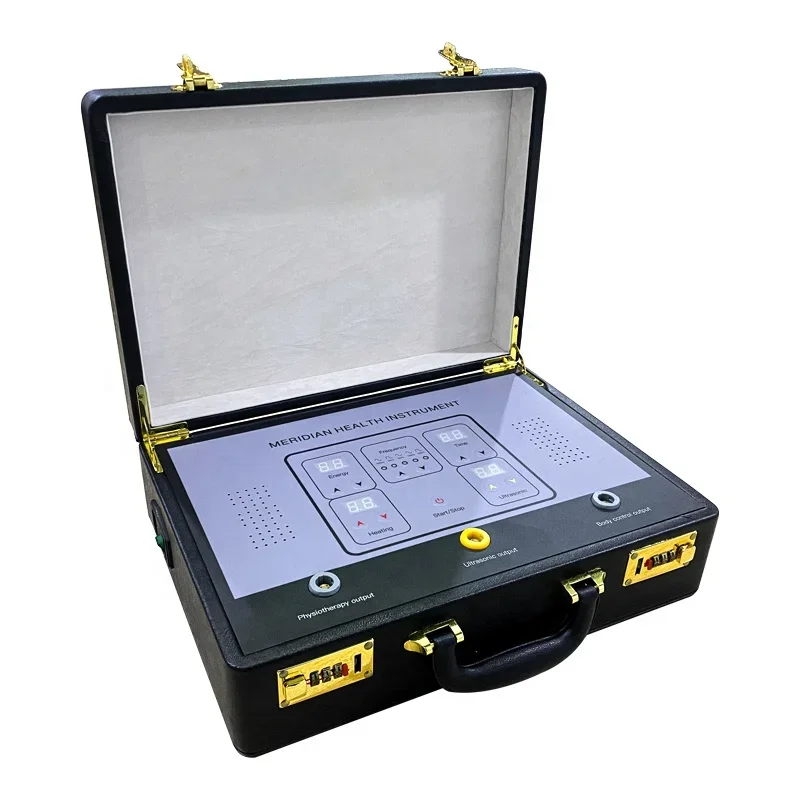 2025、Therapeutic  machine dds bio electric massage machine health energy instrument meridian therapy machine dds