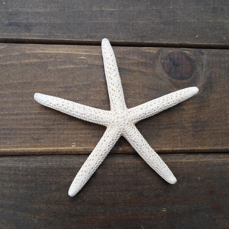 12PCS White Finger Starfish 5-10Cm Decorative Five-Finger Starfish