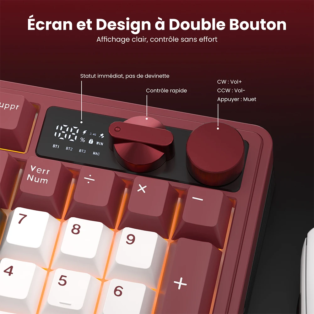 ROYAL KLUDGE M100 French Gamer - Gaming Keyboard Thocky ulasan dan harga