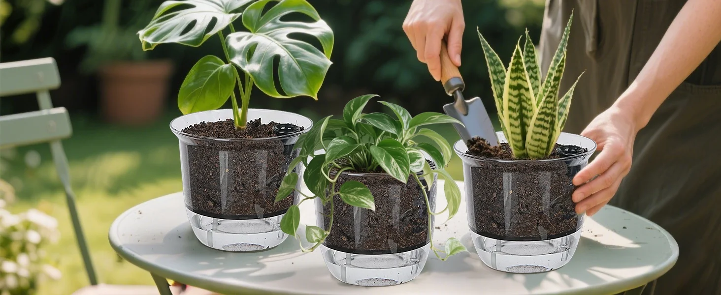 2 Stück Selbstbewässernde Töpfe, Selbstbewässernde Töpfe für Zimmerpflanzen, Transparente Blumentöpfe mit Tiefem Reservoir für Spinnenpflanzen, Orchideen – Detail 1