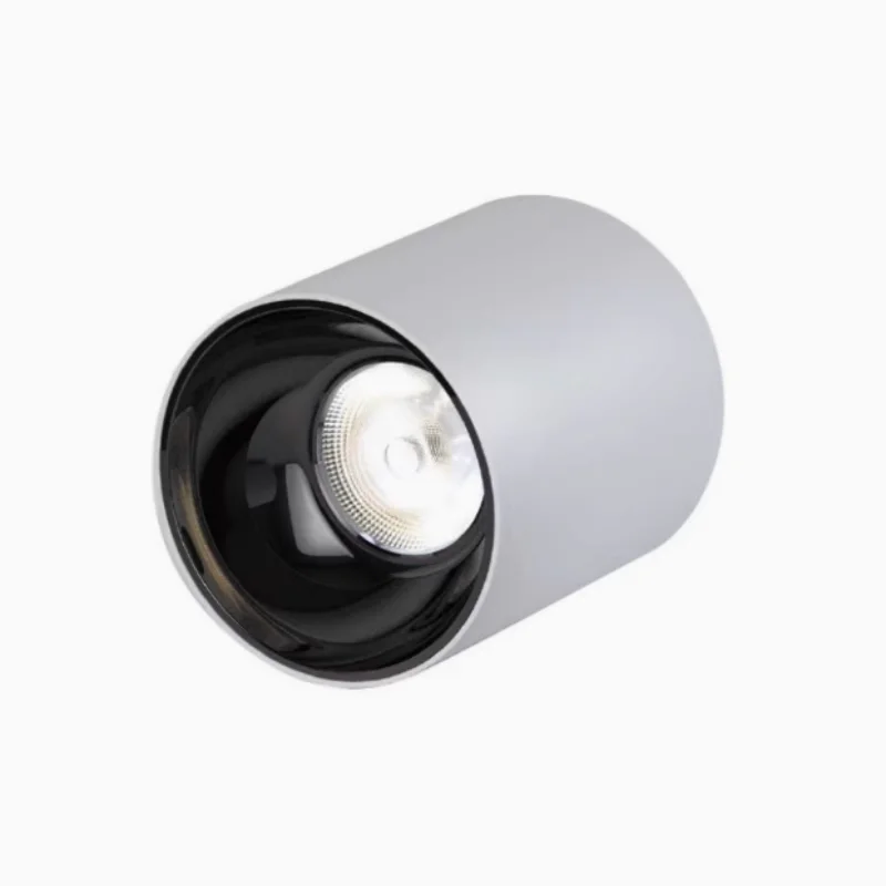 Led open waterproof downlight outdoor outdoor shop door head balcony terrace hotel canopy ceiling anti-fog spotlights
