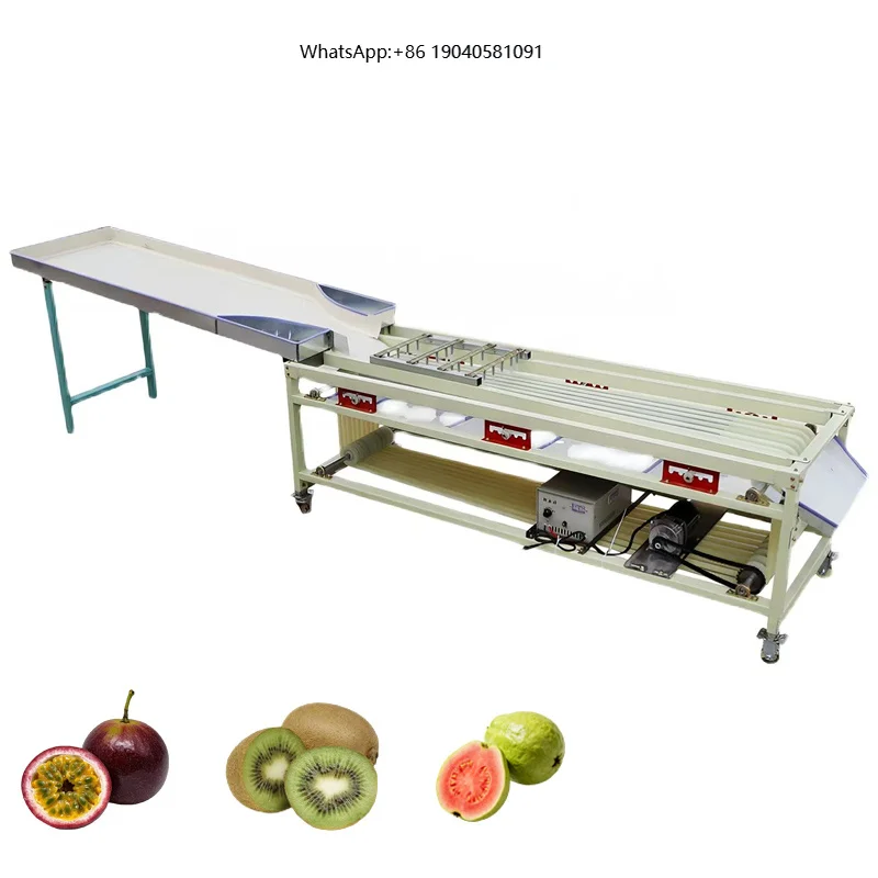 Potatoes Garlic Cherry Plum Dates Cashew Pineapple Sorter Sorting Grading Machine for Vegetable Fruit