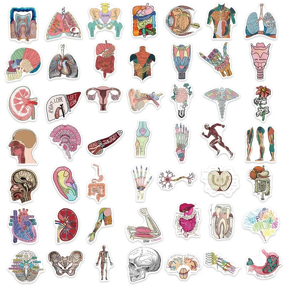 50PCS Cartoon organ anatomy Sticker Aesthetic Children's Korean Decoration Scrapbooking Stationery School Supplies