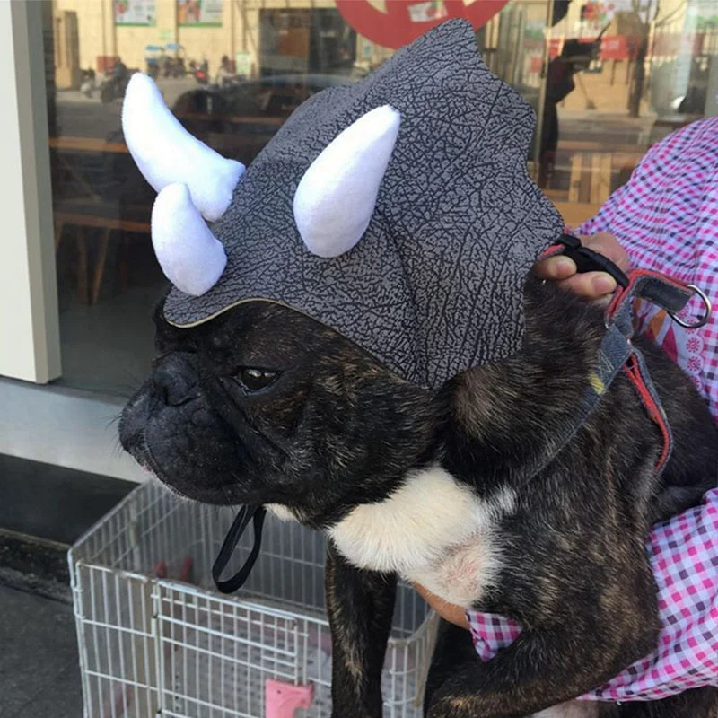 Sombrero de dinosaurio para mascotas, gorro de transformación, disfraz