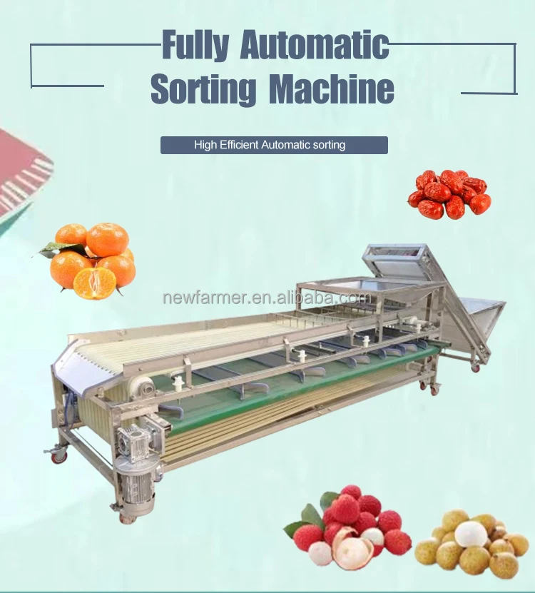 Orchard Fruit And Vegetable Sorting Machine Size Fruit Screening Equipment Onion Grader And Size Sorting Machine