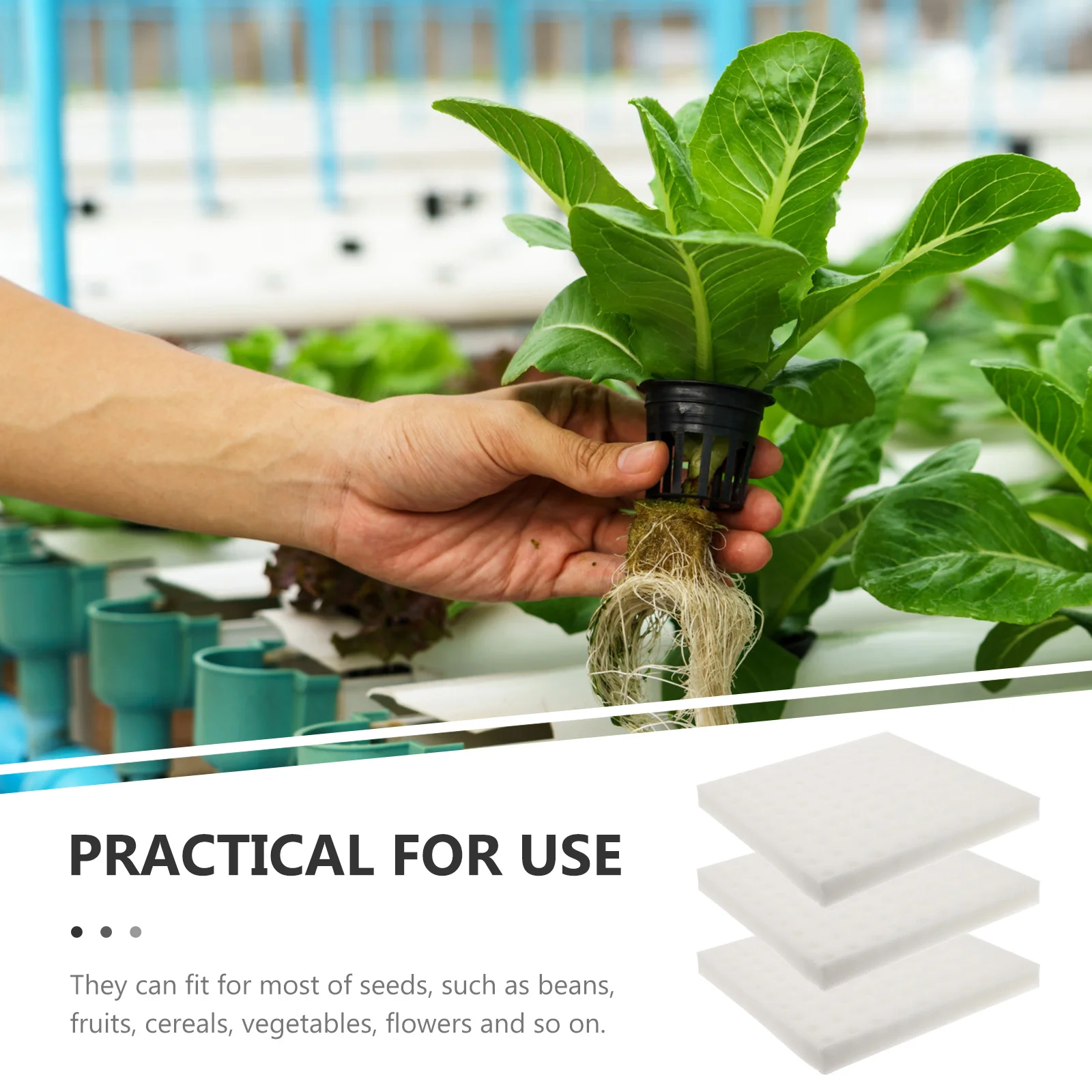 

3 Sheets Hydroponic Sponge Block Durable Growing Media for Vegetable Cultivation Indoor Soilless Garden Planting Tools