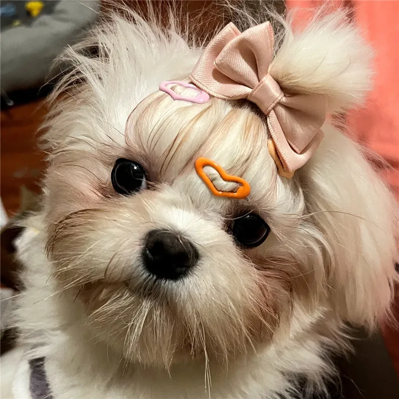 5/10/20pcs Dog Hair Clips Multicolor Barrettes Small Bone Snap Hair Clips for Dog Cat Pet Grooming Bows Pet Hair Accessories