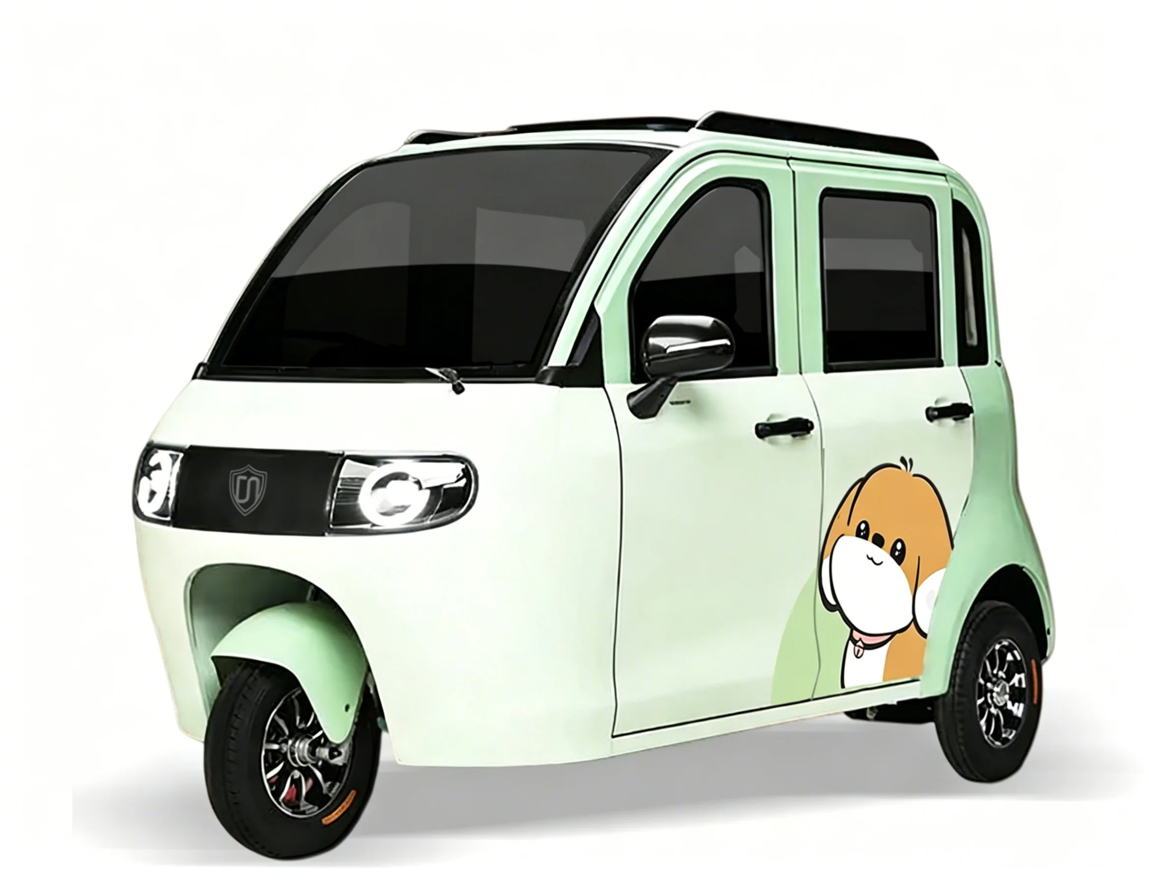 3 Wheel Electric Trike 800W Popular 3 Wheeled Ebike Electric Tricycle For Sale