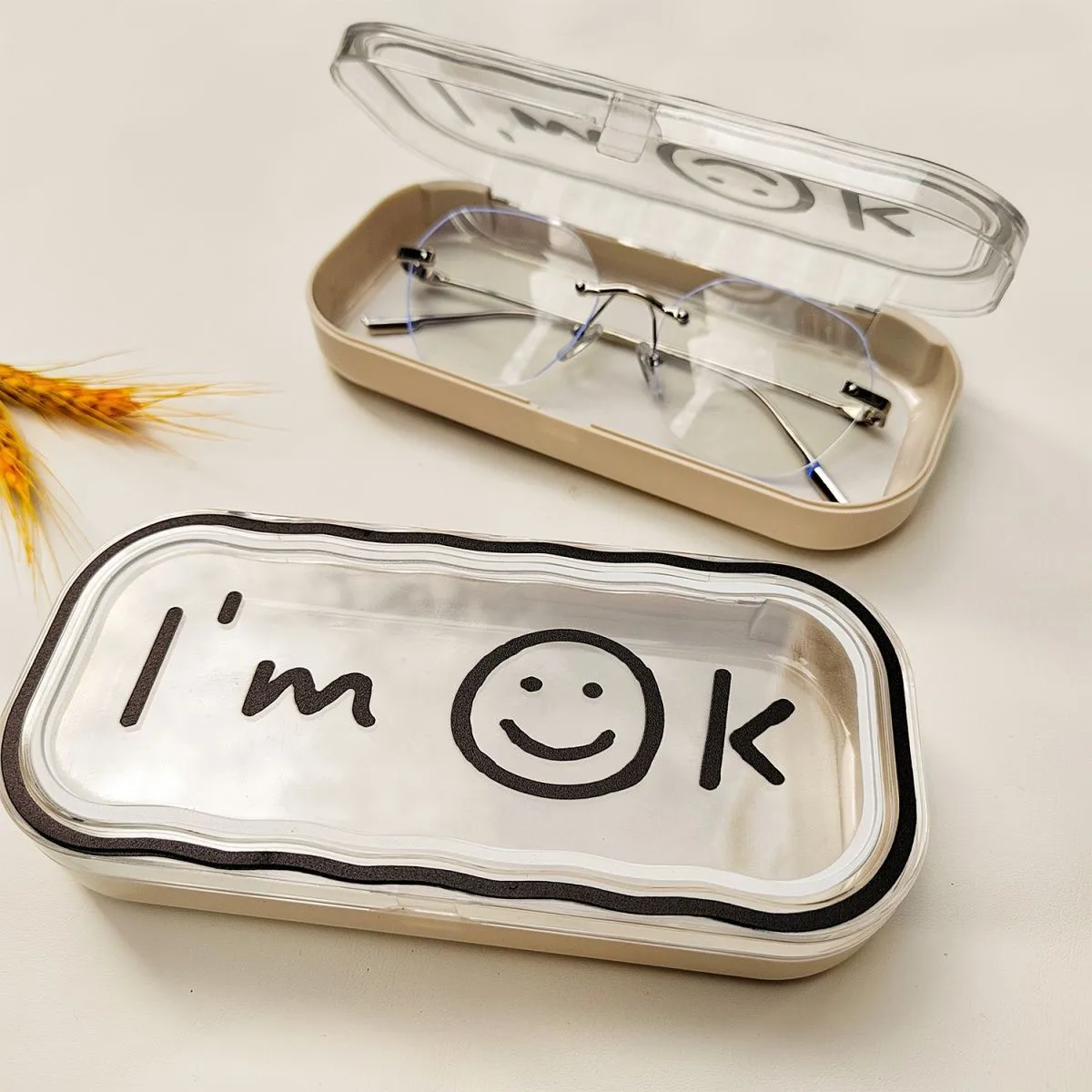 OLLYMURS Art Designer Custom IN Transparentes Brillenetui, Anti-Druck und Anti-Drop, kreatives Brillenetui für Studenten, Sonnenbrillen