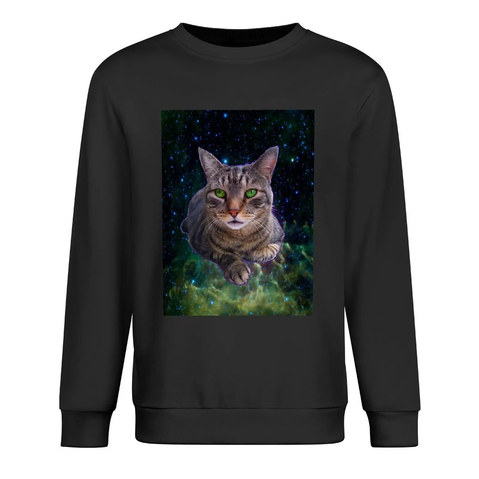 

Green-Eyed Cat Pullover korean autumn clothes aesthetic clothing autumn jacket men men's sweat-shirt hoody