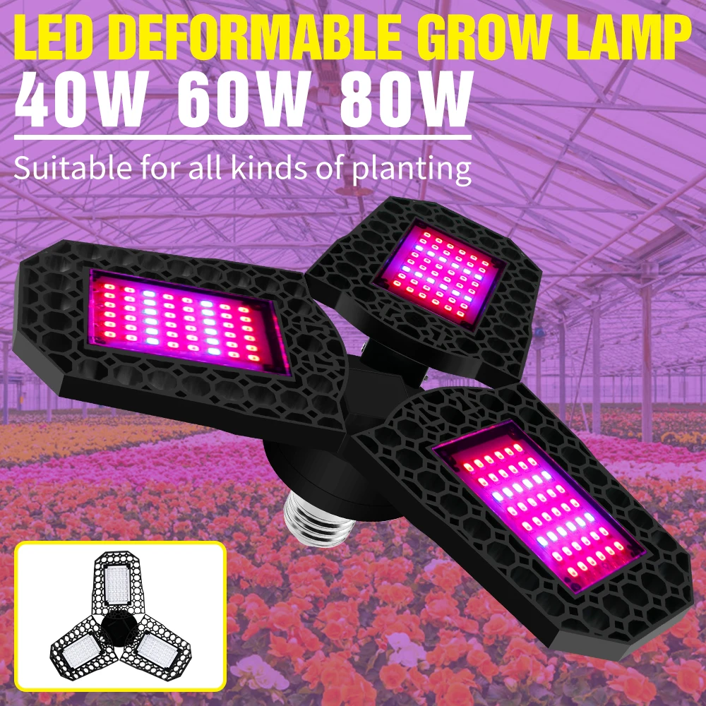 E27 ضوء النبات Led مصباح الطيف الكامل تنمو ضوء الزراعة المائية فيتو تنمو Lampada E26 LED لمبة إضاءة قابلة للتشوه لزراعة الخضار