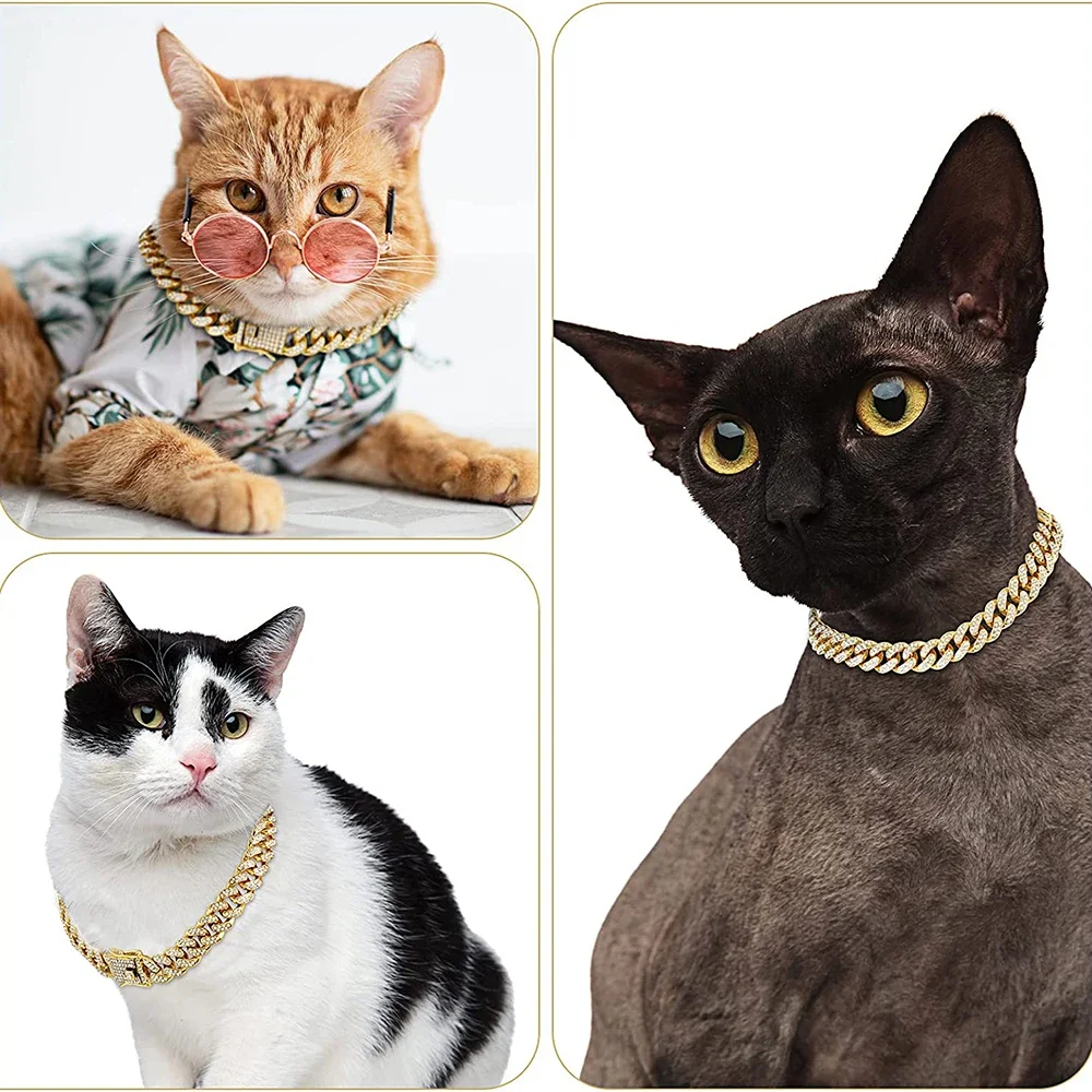 Collier de bain en métal avec biscuits pour chien, lien cubain doré, diamant de luxe, accessoires de bijoux pour chiot et chat