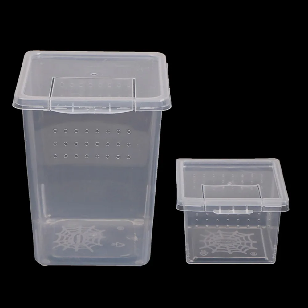 1Pc Plastic Reptiles Living Box Transparent Reptile Terrarium Habitat for Scorpion Spider Ants Lizard Breeding Feeding Case